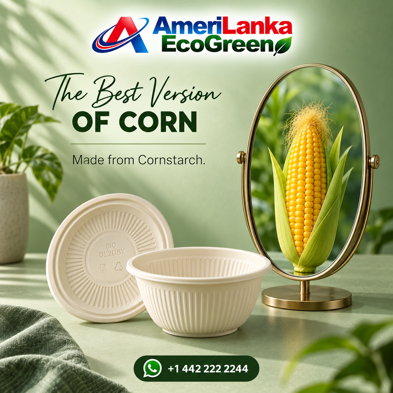 AmeriLanka EcoGreen cornstarch tableware collection